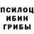 Псилоцибиновые грибы мухоморы Officially MagicCity