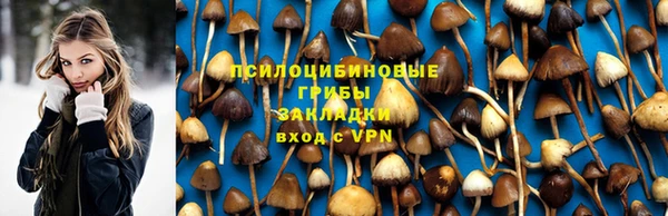 винт Баксан