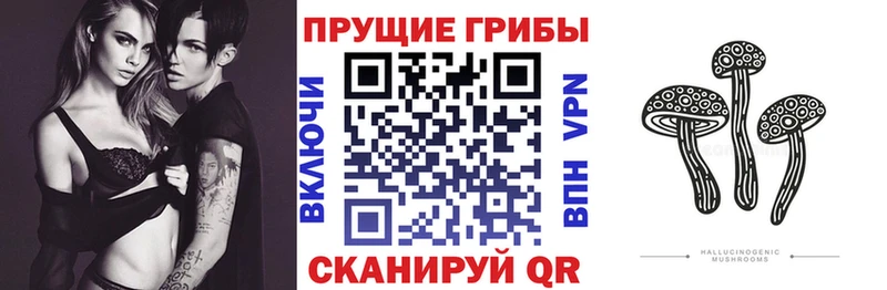 Галлюциногенные грибы MAGIC MUSHROOMS Заринск
