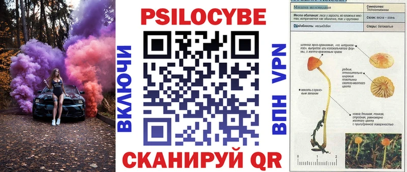 закладка  Заринск  MEGA онион  Псилоцибиновые грибы GOLDEN TEACHER 